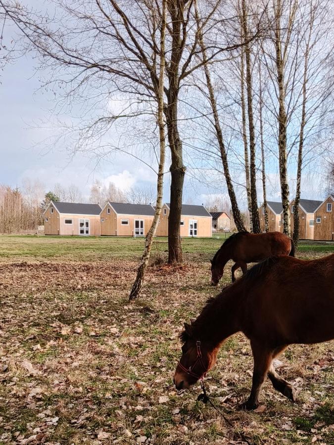 Zagajnik Country Camp Obok Suntago Villa Grabce-Towarzystwo Exterior foto